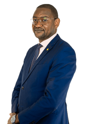 Mr. Teza Ngulube 